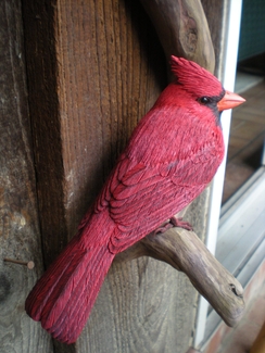 Why is the Cardinal West Virginia's state bird?